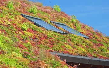 Nurton Hill living roof systems