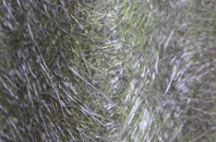 Nurton Hill fibreglass roof work